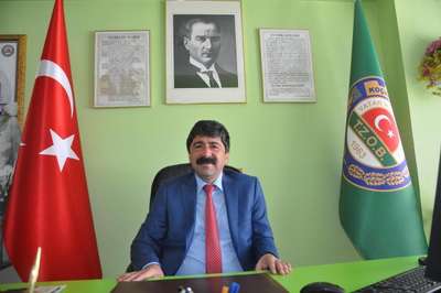 Koçarlı'ya çam fıstığından 20 milyonluk gelir