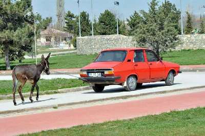 Eşeğe otomobilli işkenceye kınama
