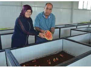 Solucan gübresi tesisi kurdu