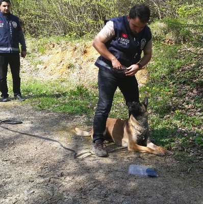 Kayıp kişileri  artık "TİM" bulacak
