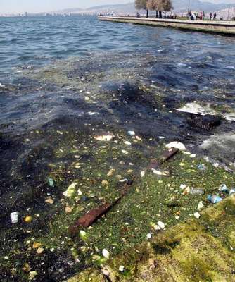 İzmir Körfezi'nde kirlilik