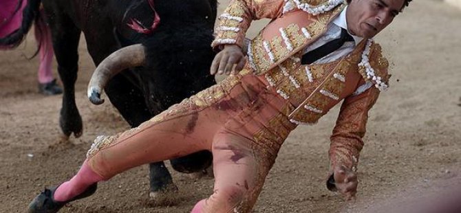 Matador boynuz darbesiyle öldü