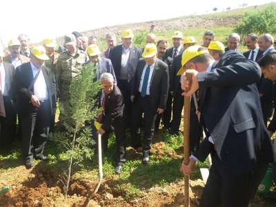 Şehit savcı Kiraz anısına memleketi Siirt'te hatıra ormanı