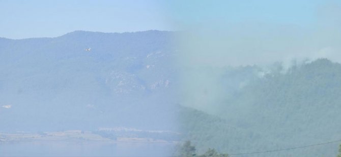 İzmir'de yangın söndürme helikopteri düştü