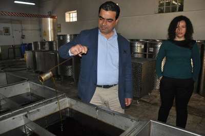 İsmail Acar: Zeytinyağı fiyatları artmaya devam edecek