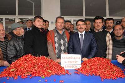 Manisa'da sezonun ilk kirazı 150 liradan alıcı buldu