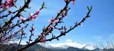 Erciyes ve bahar