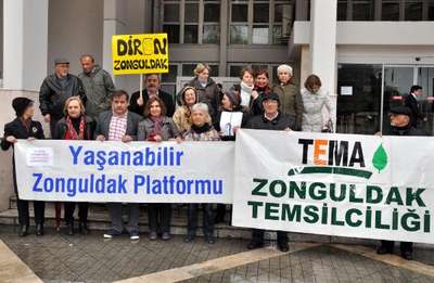 Enerji iletim hattı için ağaç kesimine tepki