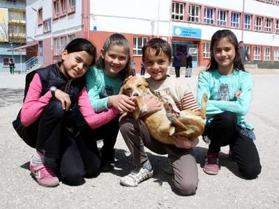 Otomobilin çarptığı yaralı köpeğe çocuklar sahip çıktı