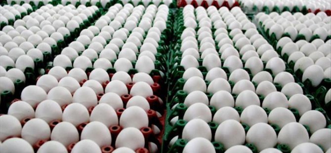 Fransa'da tüm yumurtalar satıştan çekildi