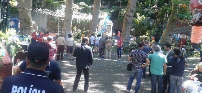 Festival alanında ağaç devrildi: En az 11 ölü
