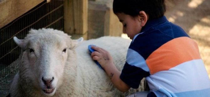 'Kurbanı çocukların önünde kesmeyin'