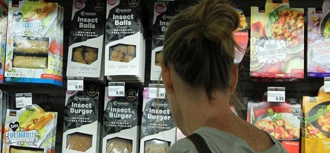 İsviçre'de 'böcekburger' satışta
