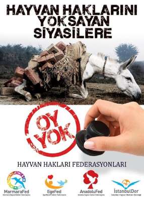 Hayvan haklarını yok sayana oy yok
