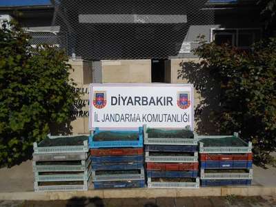 Diyarbakır'da izinsiz 191 kilo kurbağa avlayan 5 kişiye 38'er bin TL ceza kesildi