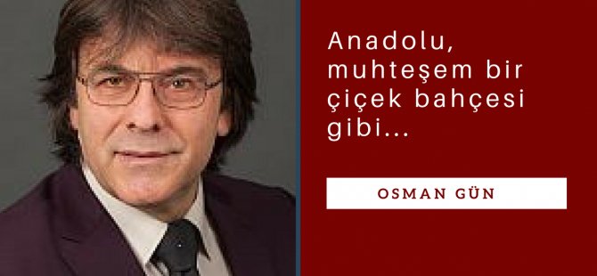 Türkiye’nin renkleri...