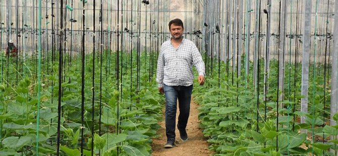İthalattan bıktı, kendi hibrit tohum tesisini kurdu