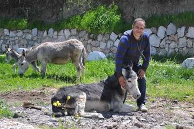 Hasta annesi için eşek sütü bulamayınca çiftlik kurdu