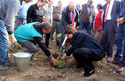 Burdur Gölü'nü 'Lavanta Deresi' kurtaracak