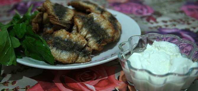 Dünyadaki balıkların yüzde 80'i yok olabilir