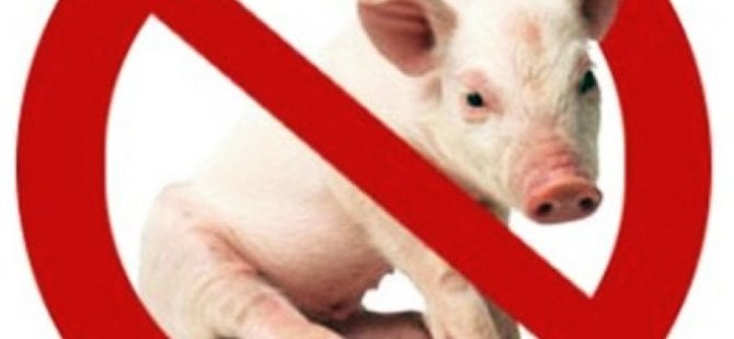 İsveçli imam: Domuz eti yiyen eşcinsel olur