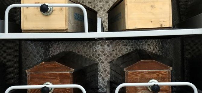 Avrupa hayali Kocaeli'de bitti