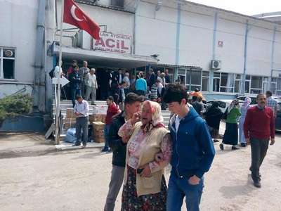 Ordu'da kesilen ağacın altında kalan kadın öldü