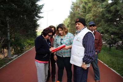 Balıkesir'de parkta ağaç katliamına tepki