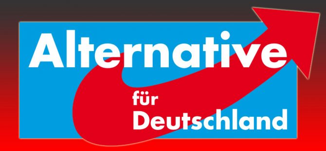 AfD başkanına faşist demek serbest