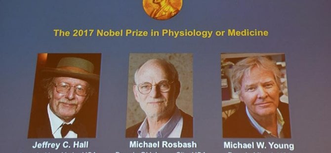 Nobel Tıp Ödülü sahibini buldu