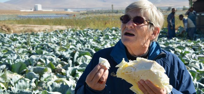 'Lahana turşusu kanseri önler'
