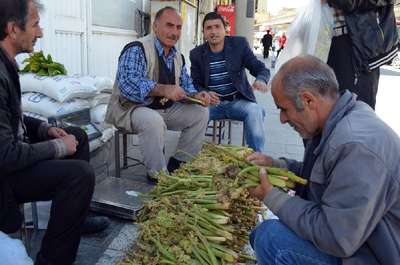 'Yayla muzu' tezgahlarda