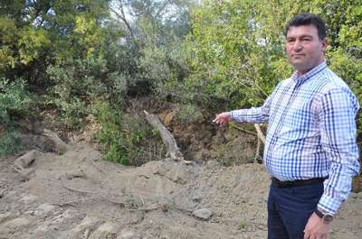 Ağaç keserek yol açan enerji firmasına belediye engeli