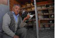 GÜVERCİN BESLEME CEZASINI İPTAL ETTİRDİ