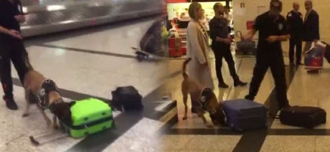 Türkiye'den Almanya'ya misilleme