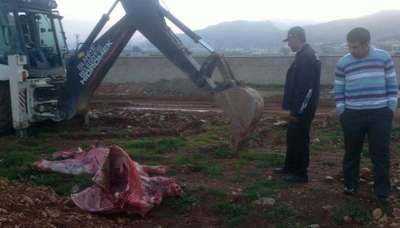 İslahiye’de 700 kilo et imha edildi