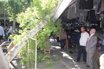 Şanlıurfa’da çürüyen çınar ağacı devrildi