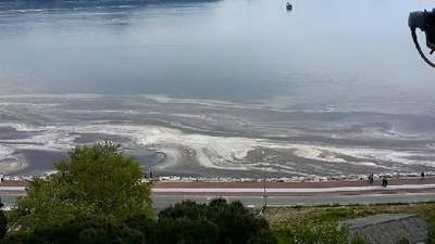 Gemlik Körfezi’ndeki renk değişikliğinin nedeni 'alg patlaması'