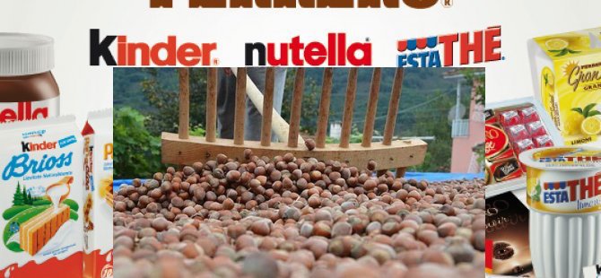 Nutella Türk fındığına alternatif arıyor