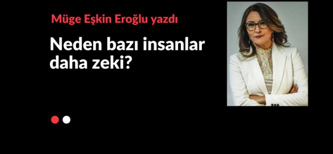 Neden bazı insanlar daha zeki?