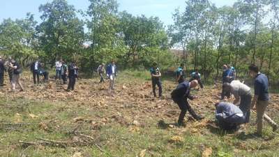 İstanbullu sürücüler 100 bin fidan dikecek
