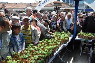 Ücretsiz fesleğene hücum
