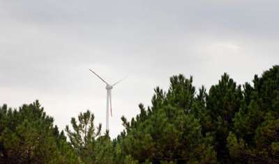 Tüm elektrik ihtiyacını rüzgârdan karşılayan ilk kampüs