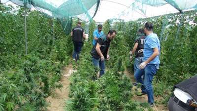 Seraya uyuşturucu baskını: 4 Suriyeli gözaltında