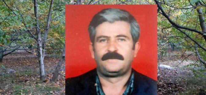 Gurbetçi, ağabeyinin ölümüne neden oldu iddiası