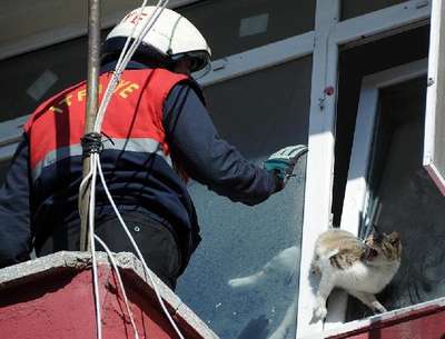 Pencereye sıkışan kediyi itafiye kurtardı