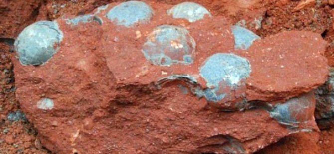 Çin’de 70 milyon yıllık dinozor yumurtaları Çin’de 70 milyon yıllık dinozor yumurtaları