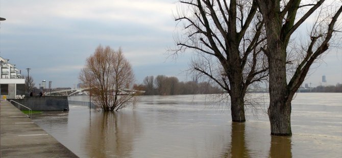 2 şehir alarma geçti: Ren Nehri 9 metre yükseldi