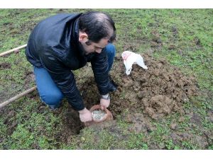 45 bin lira bozuk parayı gömdü