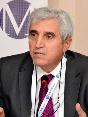 Profesör Bağcı: Türkiye'de toplumsal değerler tepetaklak